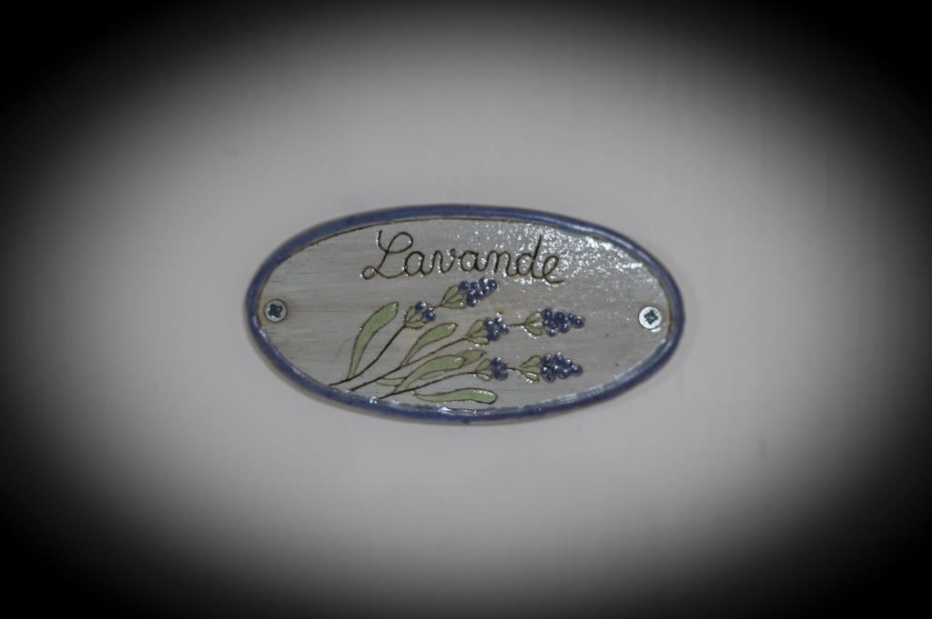 Mas des Kardouons Bed and Breakfast Tourrettes-sur-Loup Habitación foto